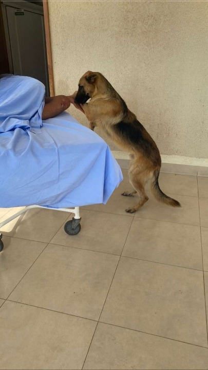 THE DOG WOULDN’T LET THE PARAMEDICS TAKE ME WITHOUT HIM