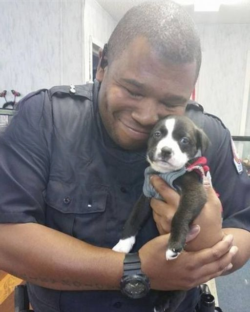 HE DISCOVERED A LONELY PUPPY—AND TOOK A STAND THAT NO ONE SAW COMING