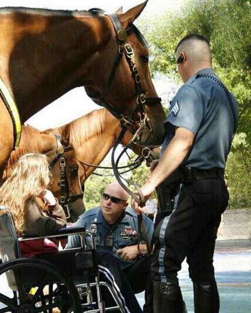 SHE REACHED OUT TO TOUCH THE HORSE—THEN SHE SAID SOMETHING THAT MADE THE OFFICER FREEZE