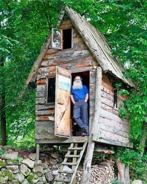 AFTER SHE WAS GONE, HE VANISHED INTO THE WOODS—AND FOUND SOMETHING CLOSE TO PEACE