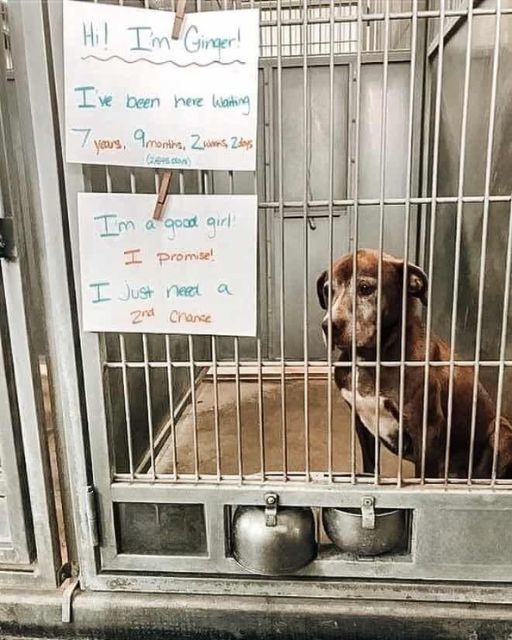 I Was Just Dropping Off Towels—But Her Eyes Changed Everything