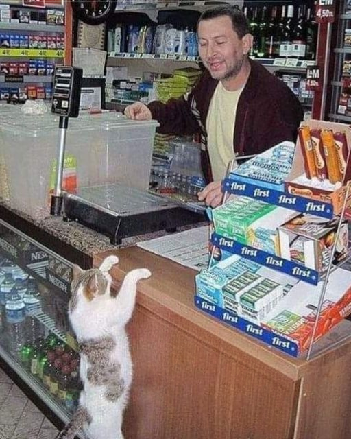 I WENT TO BUY SOME SWEETS—AND ENDED UP IN LINE BEHIND A SPECIAL CUSTOMER