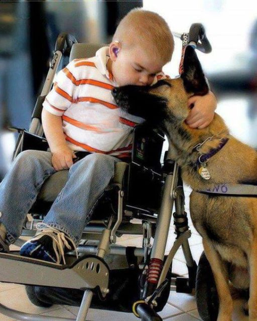 My Son Is Nonverbal—But His Service Dog Understood Him Better Than Anyone