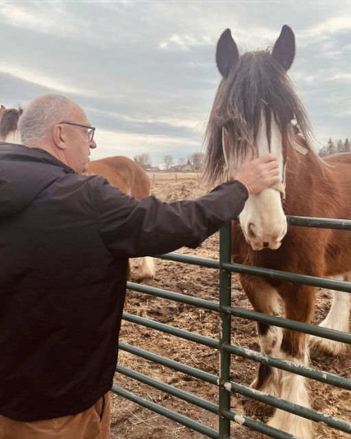 HE HADN’T BEEN BACK TO THE FARM IN A DECADE—BUT THE HORSE WALKED RIGHT UP TO HIM
