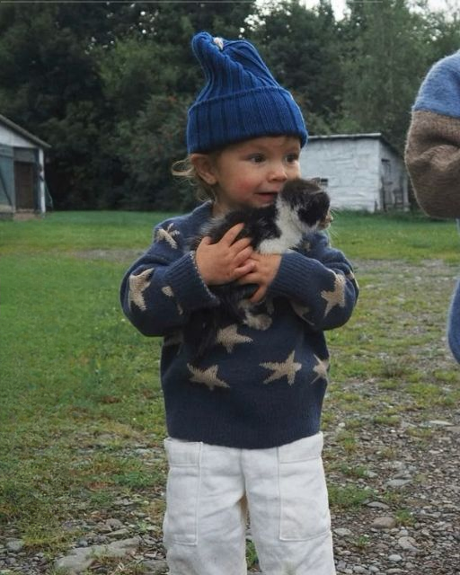 MY TODDLER FOUND A KITTEN ON THE FARM—AND WHAT WAS TIED AROUND ITS NECK CHANGED EVERYTHING
