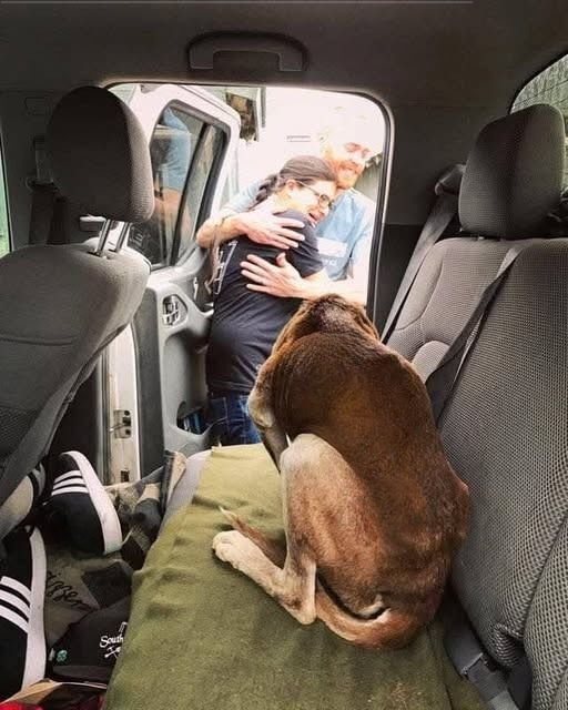 I Drove Hours to Rescue a Dog—But I Never Expected the Truth Waiting at the Door