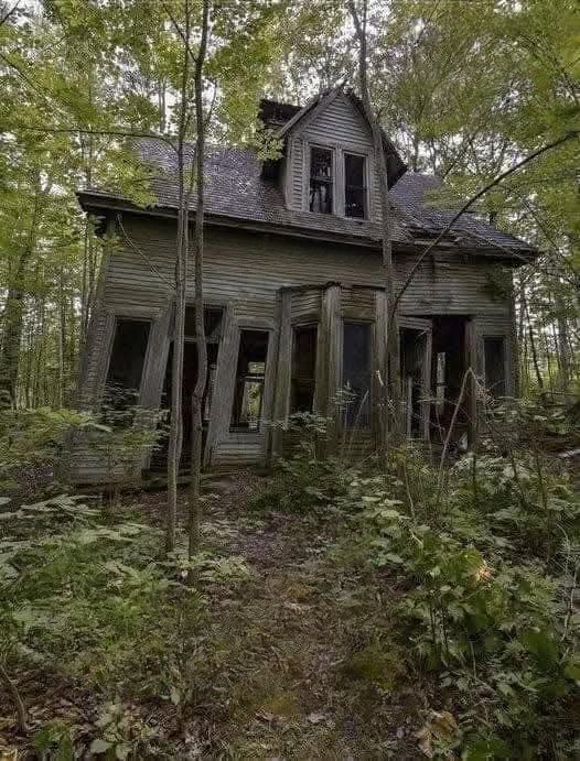Making a Beautiful Home Out of a Collapsing House.