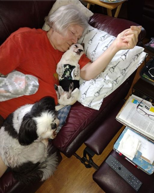 The dog stayed still on her chest—until I saw her hand.