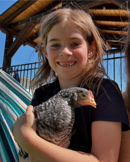 The chicken was meant to be just a school project—but she wouldn’t give it up.