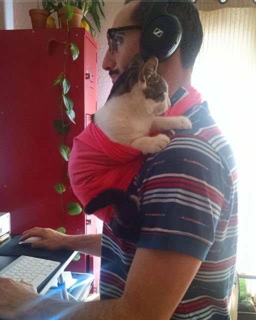 My husband won’t do anything unless he’s holding our cat—and now I finally get why.