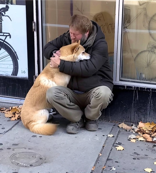 Dog Visits Shuttered Store Every Day Then Walks Away — Until One Night, a Struggling Boy Follows Him