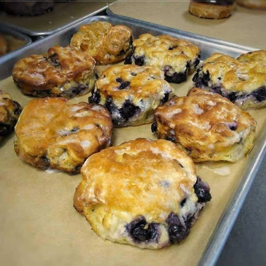 Biscuits with Blueberries