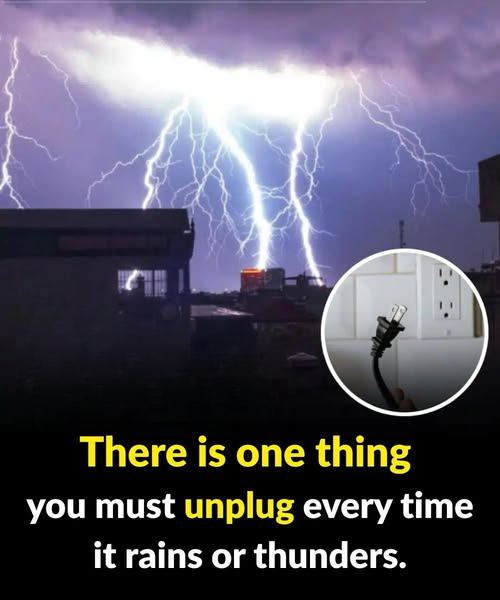 Always disconnect this one item during rain or thunderstorms.