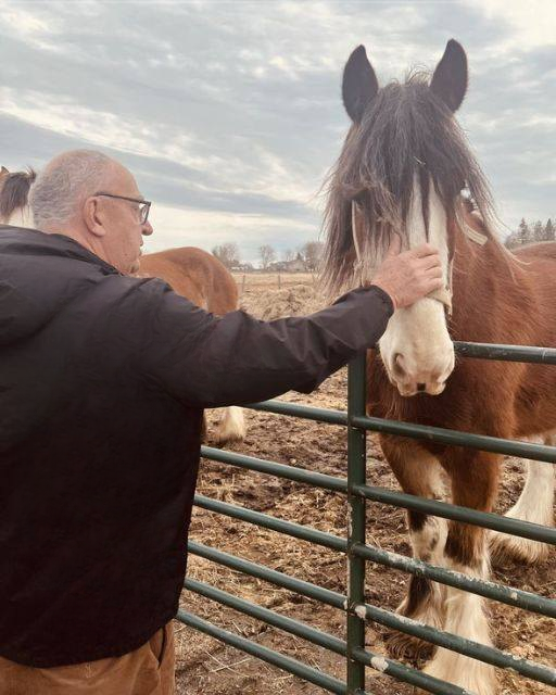He hadn’t visited the farm in a decade—but the horse came straight over to him.