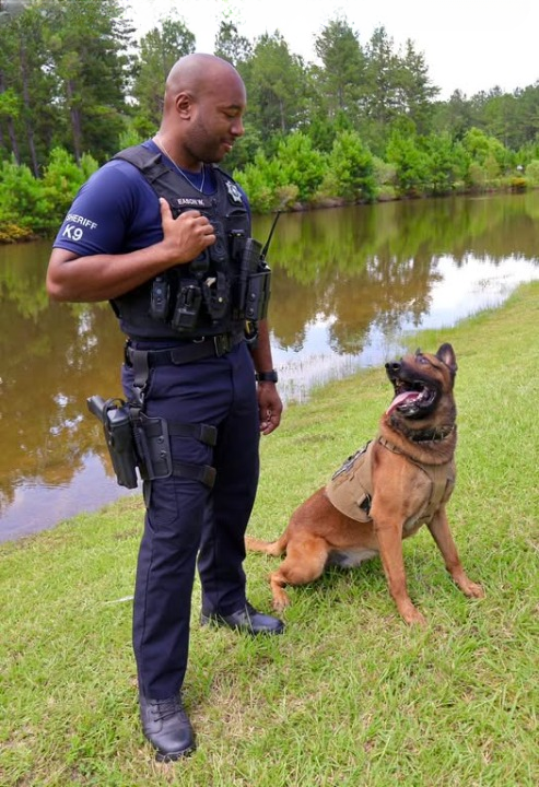 HERO ALERT: From Lost to Found – A Heartwarming Rescue by K9 Draco