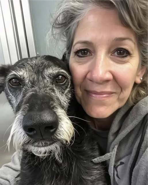 I Adopted the Oldest Shelter Dog, Knowing She Had Only a Month Left — My Mission Was to Make Her Final Days the Best