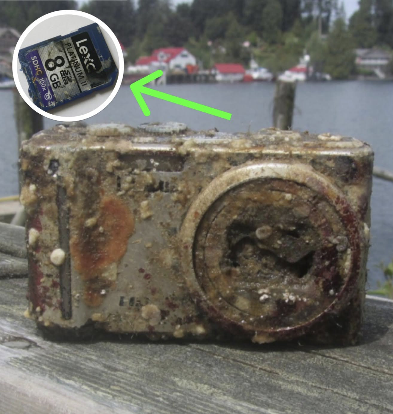 Diver Recovers Camera From Ocean Floor, Is Stunned Upon Seeing a Familiar Face in the Photos