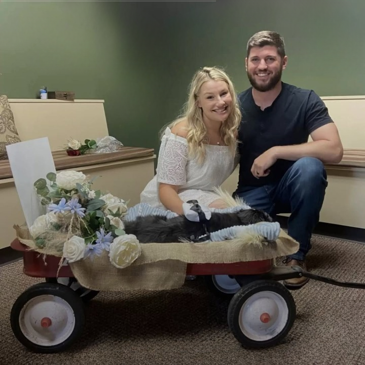 Couple Has Spontaneous Wedding at Vet to Make Sure Their Dog Is Included