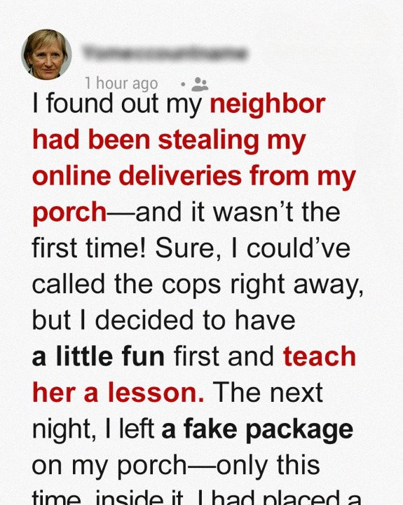 My Deliveries Kept Vanishing from My Door – Until I Discovered the Culprit and Gave Them a Taste of Their Own Medicine