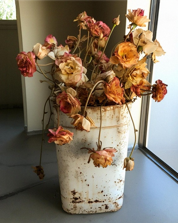 My MIL Intentionally Sent Me Faded Flowers for My Birthday…