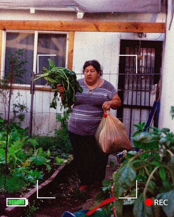 My Neighbor Stole From My Garden—But She Didn’t Expect What Happened Next