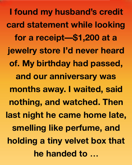 The Velvet Box and the Truth It Revealed