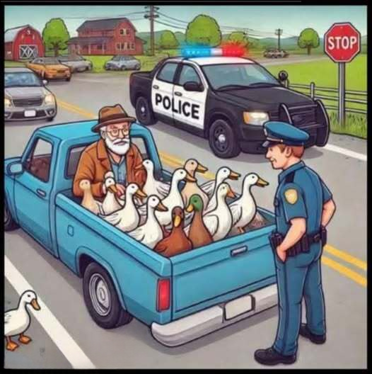 A Policeman Pulls Over an Old Man Driving a Pickup Truck — and What Happens Next Is Hilarious