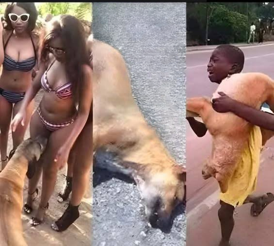 SOTD: If Your Dog Keeps Sniffing Your Genital Area, Here’s What It Really Means — And Why You Shouldn’t Panic