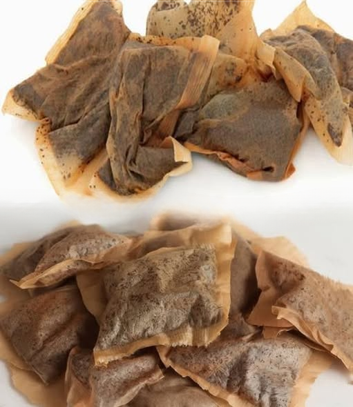 7 Household Remedies That Prove You Should Never Throw Away a Used Teabag Again