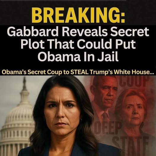 BREAKING: In a Stunning Political Thriller Twist, Gabbard Reveals Evidence of Obama-Led Secret Operation to Seize Trump’s Presidency